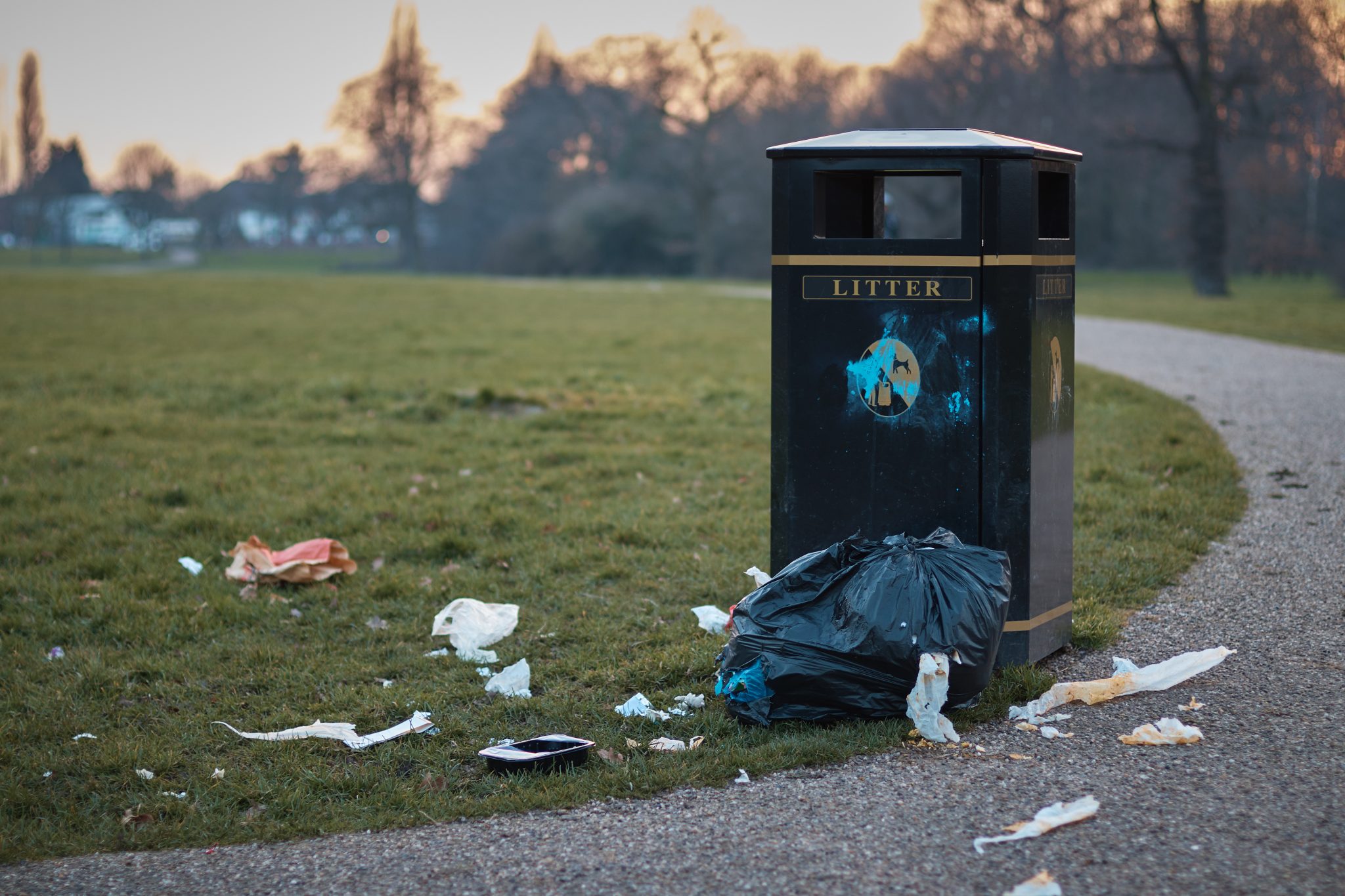 Litter Water Indiana Clear Choices Clean Water top-cat-litter-info-facts-should-shouldn-t-guide