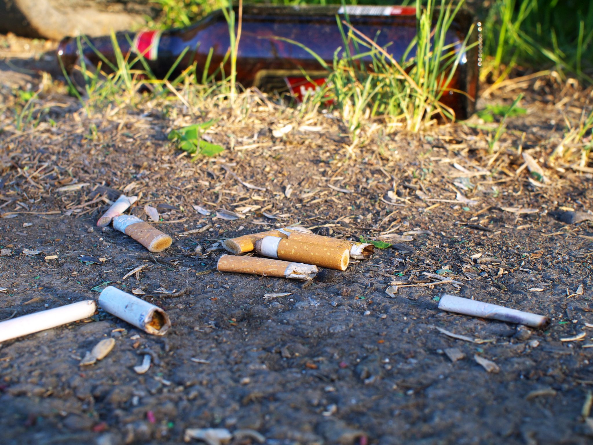 Littered Items Litter & Water | Indiana Clear Choices Clean Water